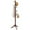 Brown, variant on Giantex Wooden Tree Coat Stand, Height Adjustable Coat Rack w/8 Hooks & Tri-Legged Base, Standing Organizer for Office, Home, Hall, Entryway