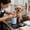Blue, variant on Pet&nbsp;Paw&nbsp;Wash&nbsp;Cup Pet Paw Wash Cup Dog Paw Washer Cats And Puppy Paw Cleaner Perfectly For Pet To Use After Going Out And Return Home