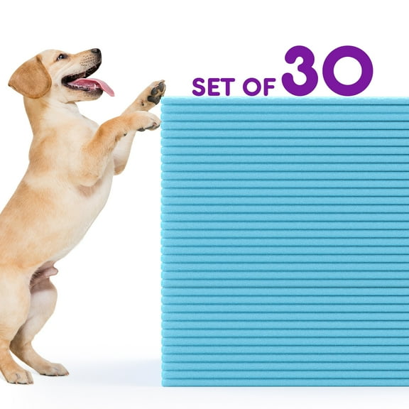 Gianna 30 Count Dog Pee Pads 28"x34", Disposable Training Puppy Pet Absorbent Leak-Proof