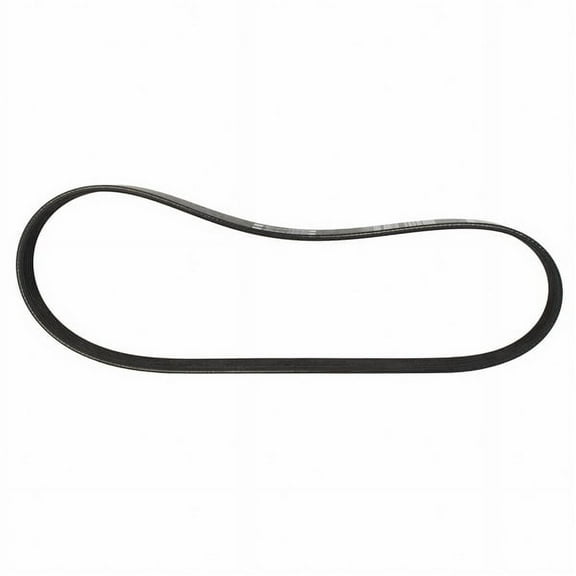 Motorcraft JK6-295 Serpentine Belt Fits select: 2018-2024 FORD MUSTANG