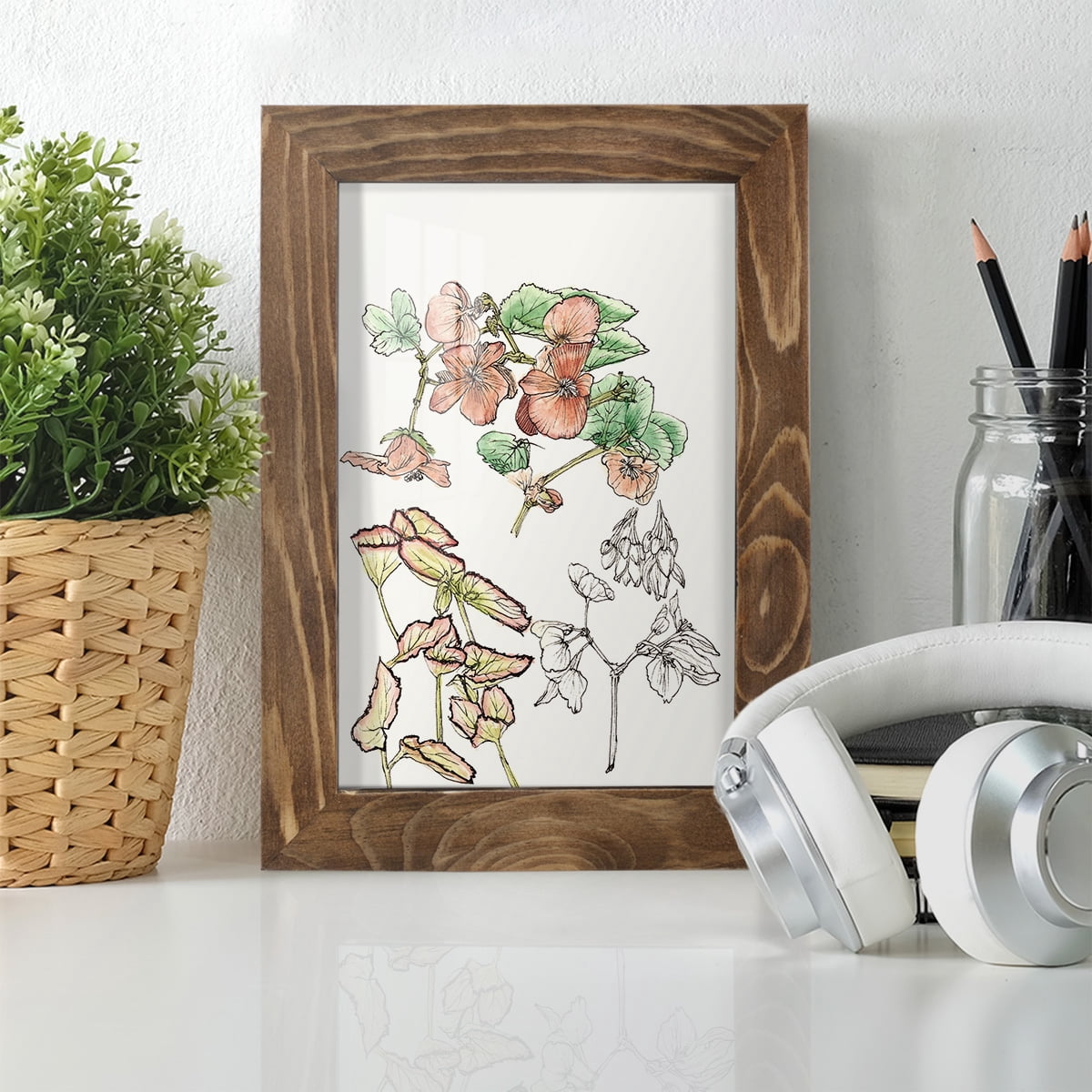 Begonia Study -Framed Print w/glass-Walnut