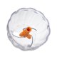 thumbnail image 4 of Picadora de alimentos manual portátil, cortadora de alimentos de 450 ml, picadora de mano para ajo, pimientos, cebollas, verduras, nueces, carne, accesorios de cocina., 4 of 6