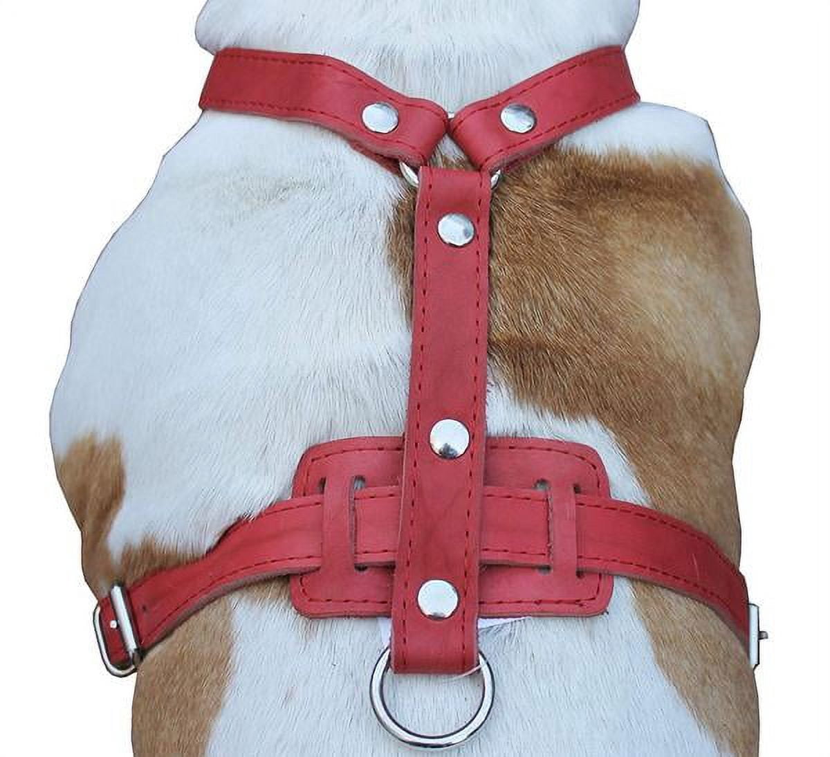 Genuine Leather Dog Harness, 29'-37' Chest, 1' Wide Straps, Doberman, Pitbull, Bullterrier