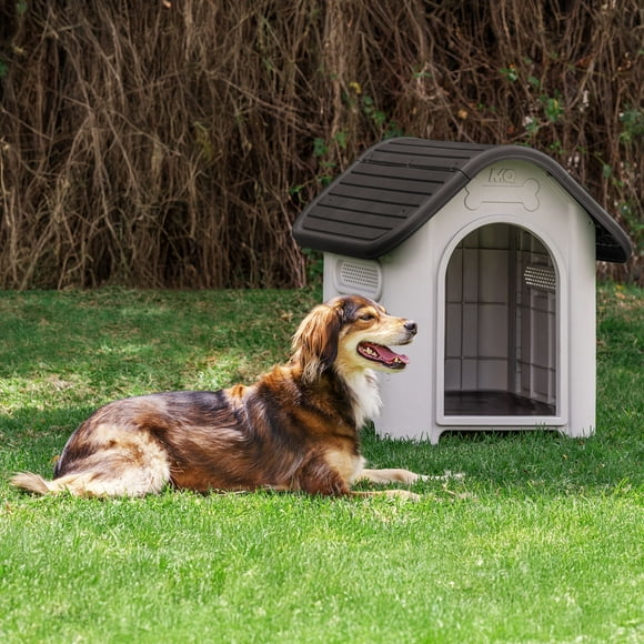 Casa Para Perro Mediana + Plato Wengue MQ 600-W