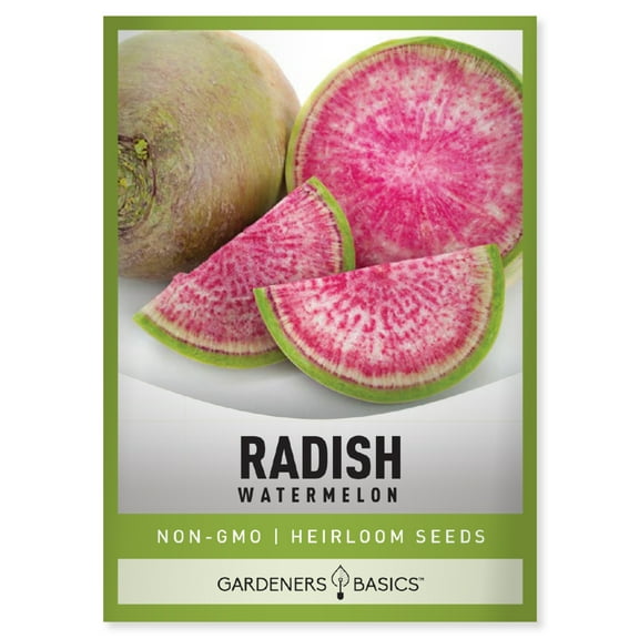 Watermelon Radish Seeds