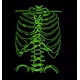 thumbnail image 3 of Playera Esqueleto Fluorescente Que Brilla En La Oscuridad, 3 of 4