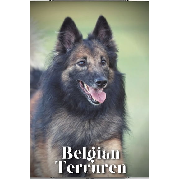 Belgian Tervuren : Dog breed overview and guide (Paperback)