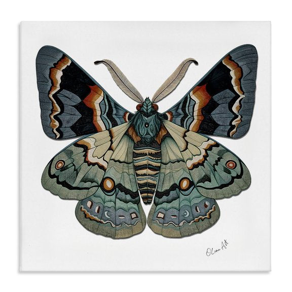 Stupell Industries Symbol Of Change Moth Animals Painting Wrapped Canvas Art Print Wall Art, 17 x 17