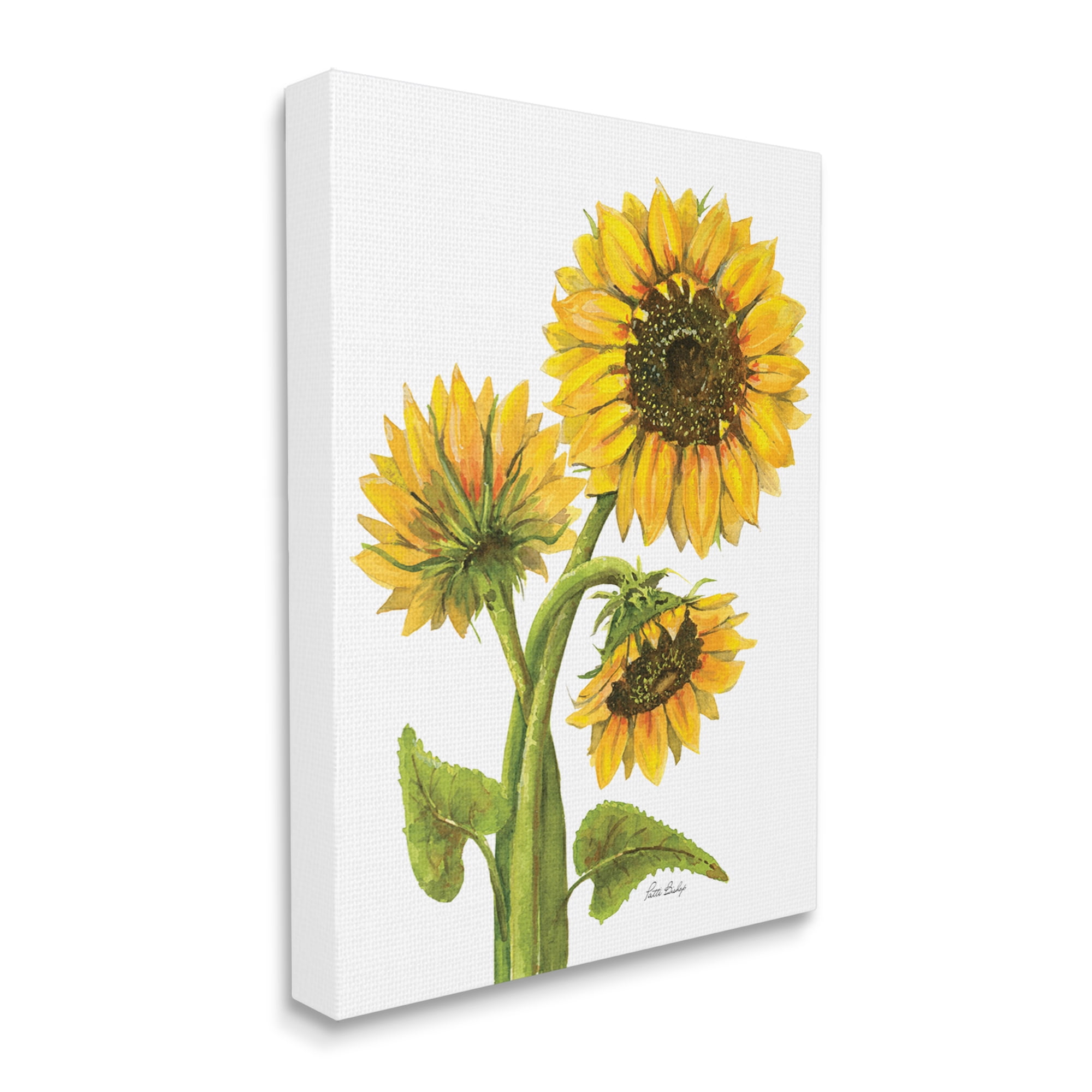 Stupell Industries Sunflower Trio on White Botanical & Floral Painting Gallery Wrapped Canvas Print Wall Art, 24 x 30