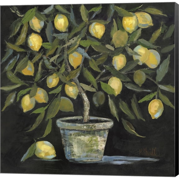 Great Art Now Lemon Tree by Kate Sherrill, Canvas Wall Art, 12W x 12H