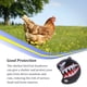 thumbnail image 5 of Billuyoard Casco Sombrero de seguridad para mascotas Sombreros Sombreros Accesorios ajustables Protector Sombreros Gorras Aves de corral para pollo Patitos Juguetes para pájaros tiburón Billuyoard PT003691-13, 5 of 6