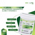 thumbnail image 3 of BDM LIFE Nicotinamida Nad, Suplemento Alimenticio, 60 Cáps., 3 of 8
