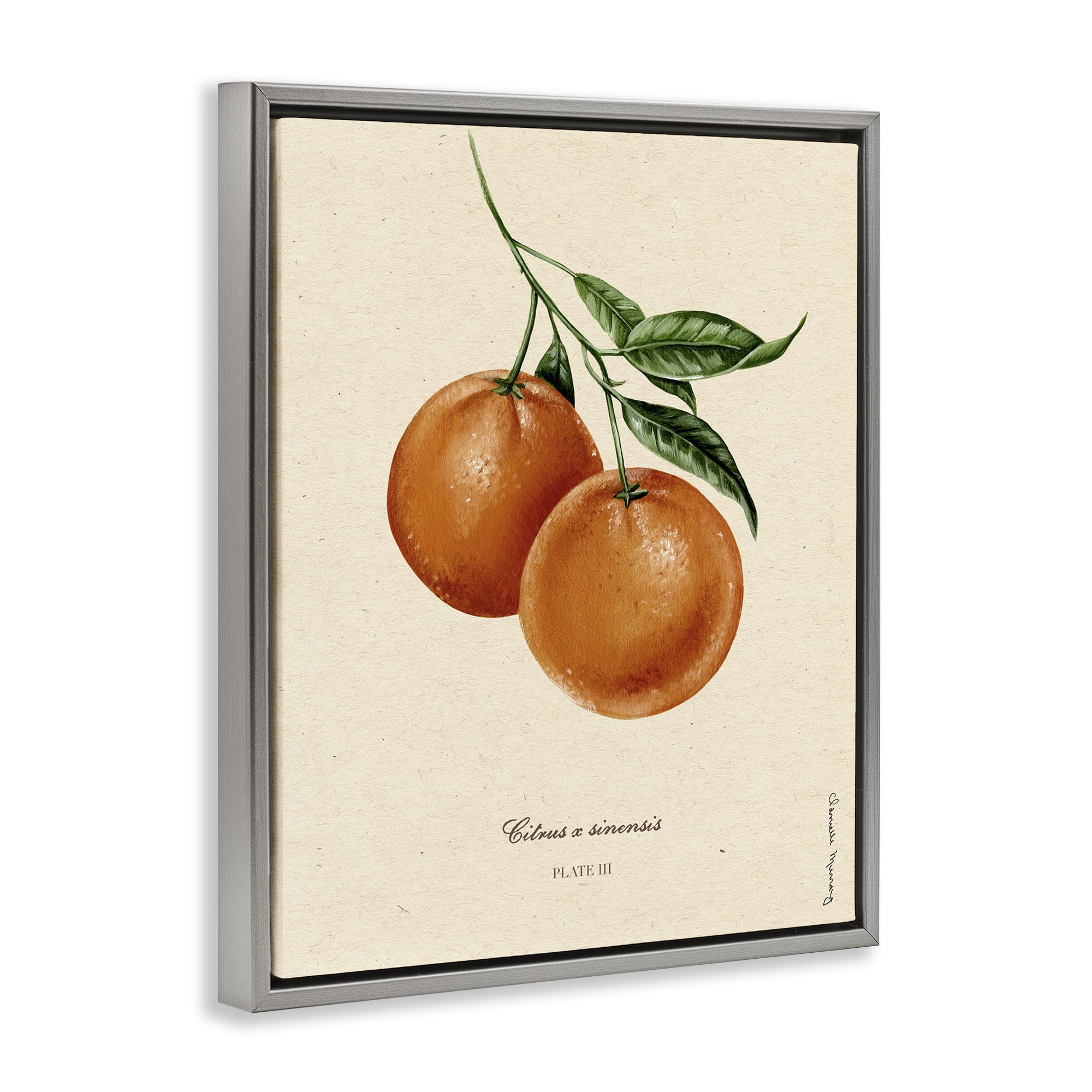 Stupell Industries Orange Fruit Portrait Gray Framed Floater Canvas Wall Art, design by Danielle Murray