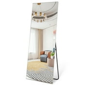 NeuType 65"x22" Black Full Length Mirror Floor Mirror