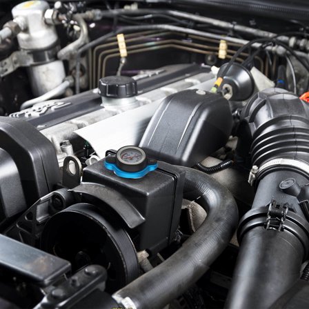 Pawsdot Assorted Color Water Tank Cover with Clear Dial Temperature Gauge for Car Radiator