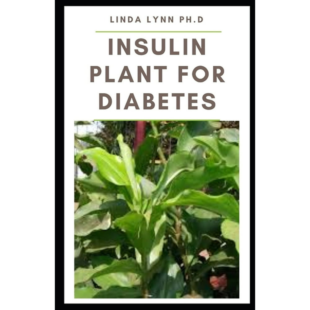 Insulin Plant for Diabetes How to use this wonder plant to cure
