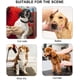 thumbnail image 5 of Hamaca para el cuidado de perros y gatos, bolsa de aseo para mascotas, transpirable, accesorios de baño, 5 of 5