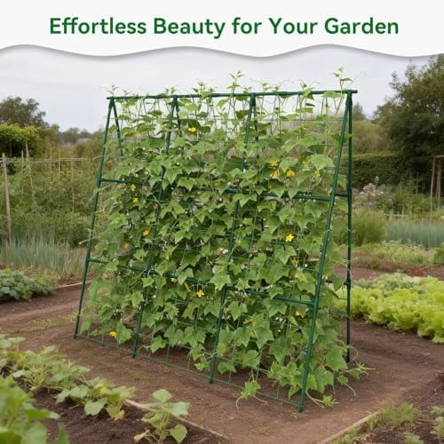 Cucumber Trellis - 49.4"*49.4" Metal Garden Trellis for Climbing Plants, Garden Trellis with Plastic-Coated Steel Pipe, A Frame Trellis for Cucumbers, Peas, Morning Glories(Green)