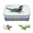 thumbnail image 1 of Pet Reptile Lizard Gecko Snake 12 Grids Egg Hatchery Breeding Box Case Incubator, 1 of 3