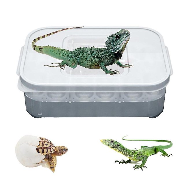 Pet Reptile Lizard Gecko Snake 12 Grids Egg Hatchery Breeding Box Case Incubator