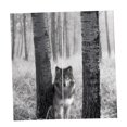 thumbnail image 3 of DOLITY Rideaux Occultants pour Animaux 2 Panneaux pour Tringle/piste - Loup Gris Loup, 3 of 7