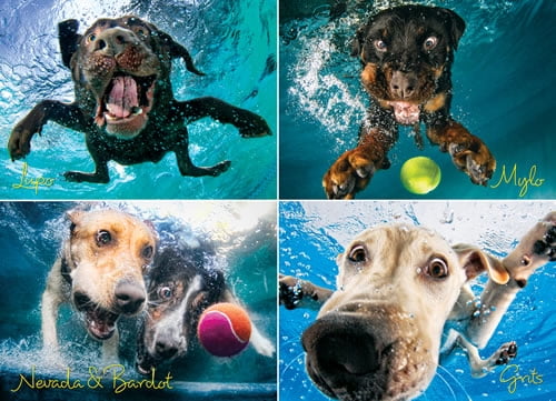 Willow Creek Underwater Dogs Splash 1000 Piece Jigsaw Puzzle for sale online 