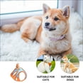 thumbnail image 3 of WHAMVOX Body Leash With Vest For Pet Orange Cloth Gentlemen Style 1 Set, 3 of 8