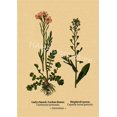 thumbnail image 1 of Póster de ilustración botánica, carteles de Papel Kraft de hojas de plantas y flores, decoración Vintage para el hogar, habitación, Bar, cafetería, arte estético, pintura de pared, 1 of 4