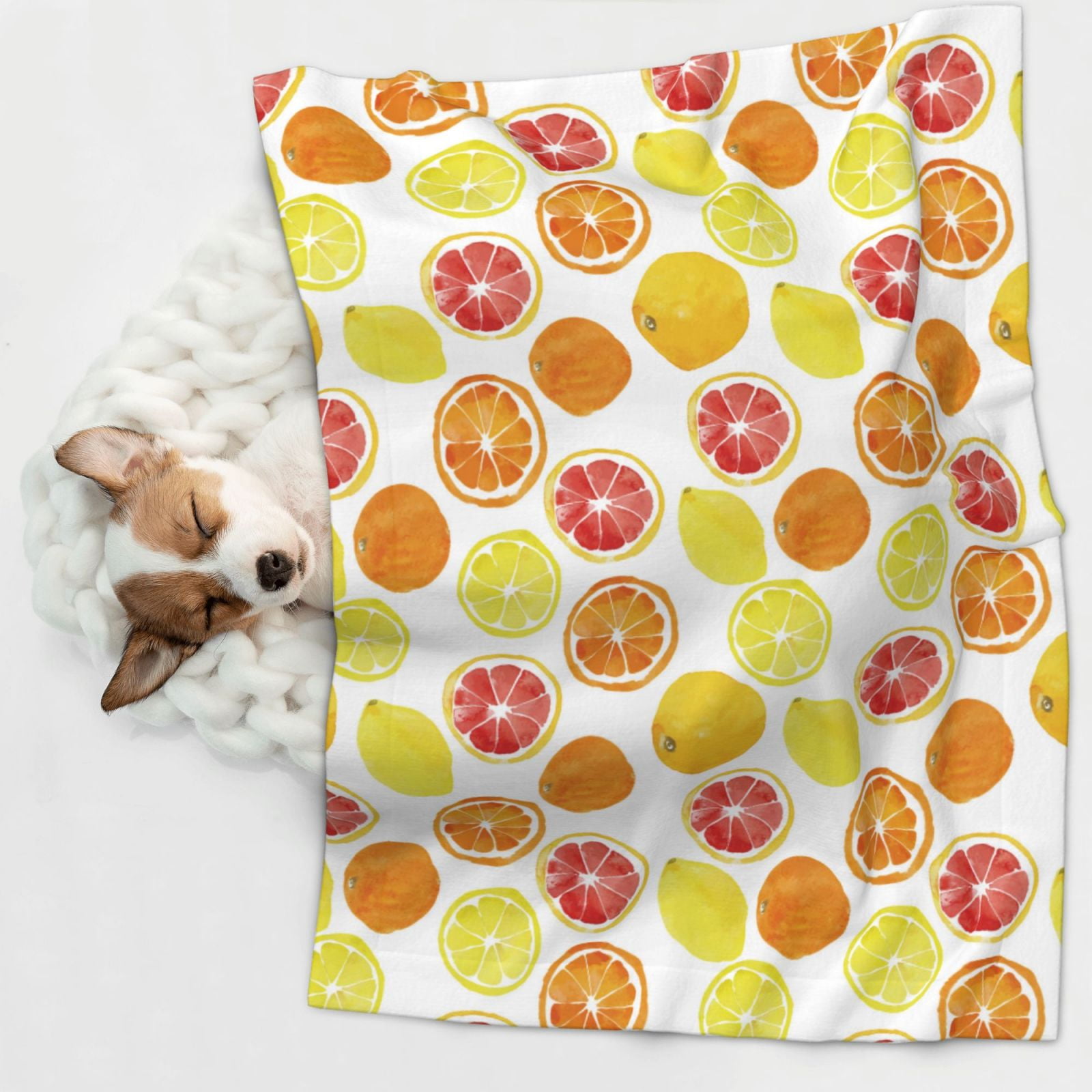 Naloa Lemon Orange Dog Blanket, 3 Sizes Cat Blanket for Indoor Cats Large Medium Small Dog Gifts-