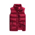 thumbnail image 5 of Chaleco informal de cuello de algodón de plumón de invierno para hombre, chaleco grueso de talla grande, chaleco para hombre, 5 of 5