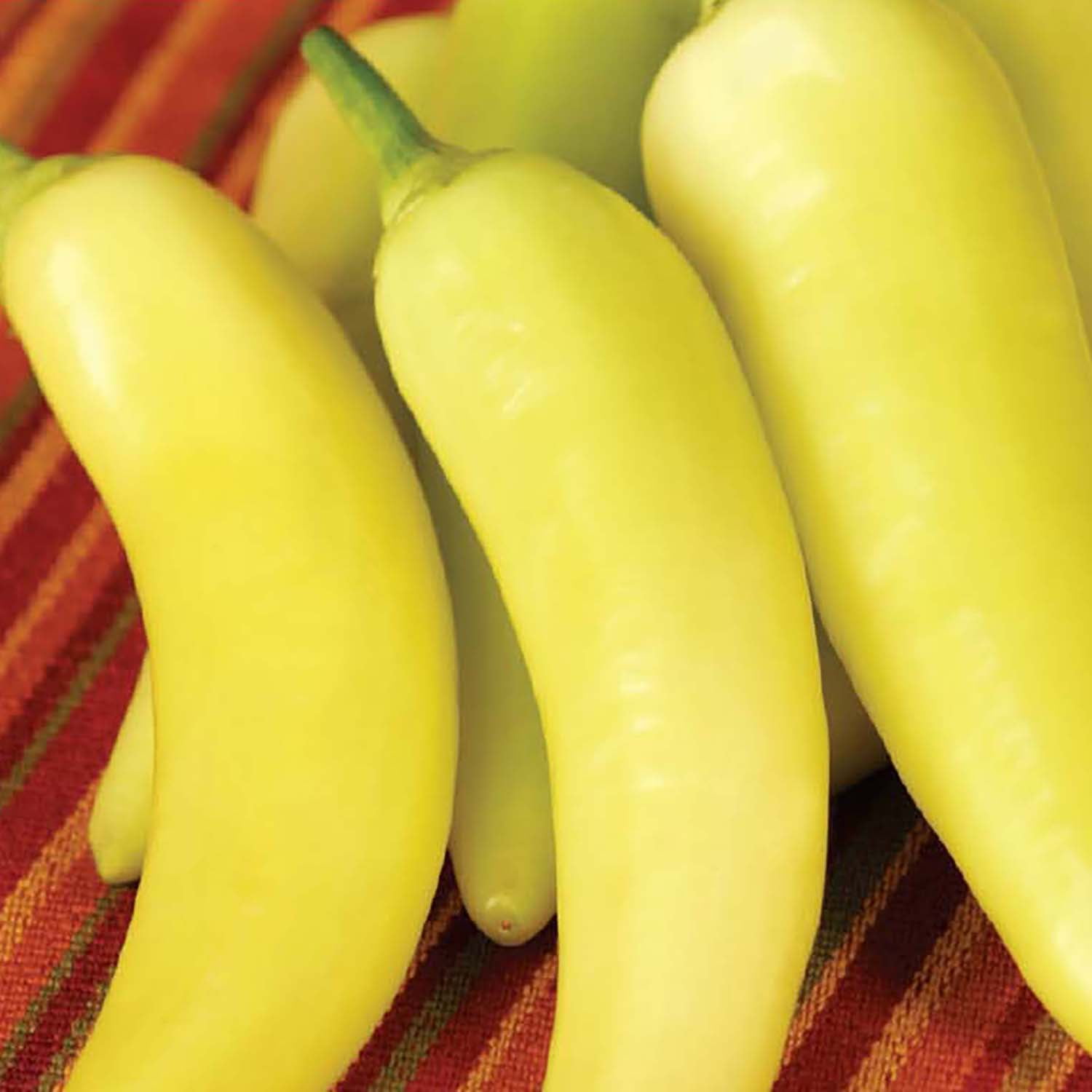 American Seed 100MG Pepper Hungarian Yellow Wax Annual Vegetable, Full Sun