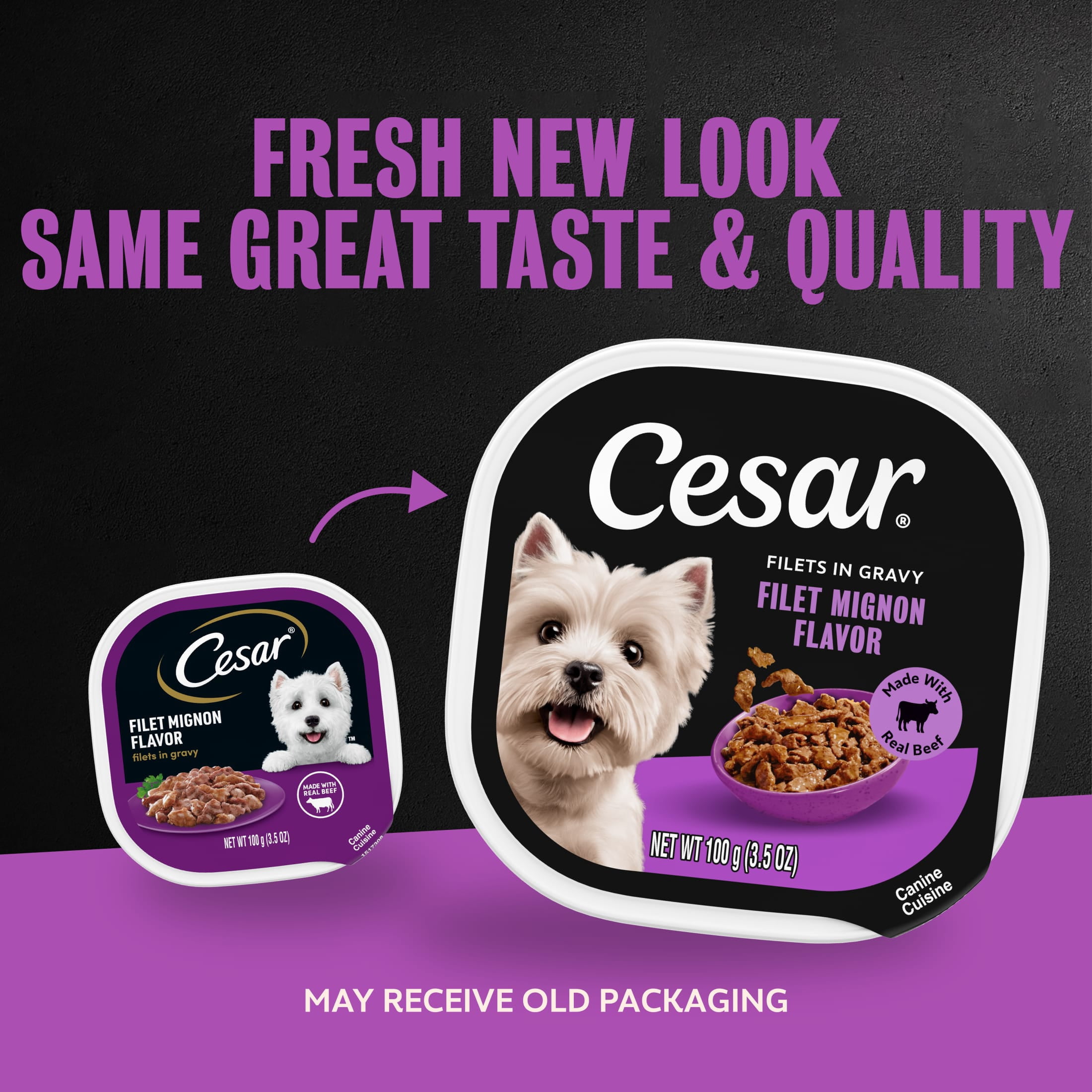 Cesar Filets In Gravy Filet Mignon Flavor Wet Dog Food Adult, 3.5 Oz Easy Peel Tray