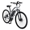 Schwinn Sycamore Electric 350 Watt Hub-Drive 8-Speed Mountain/Hybrid Electric Bicycle, Men's, Large, Silver
