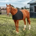 thumbnail image 4 of Naiovety Chaleco elástico negro para caballos Protector de pecho antifricción para un ajuste cómodo Chaleco elástico negro para caballos Cuidado ecuestre y deportes, 4 of 6