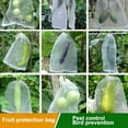 thumbnail image 5 of Luxcidy 100 Pcs Fruit Protection Netted Bags, 3''×4''Fruit Netting Bags for Fruit Trees Fruit Cover Mesh Bag with Drawstring Netting Barrier Bags for Plant Fruit Flower(Green), 5 of 6