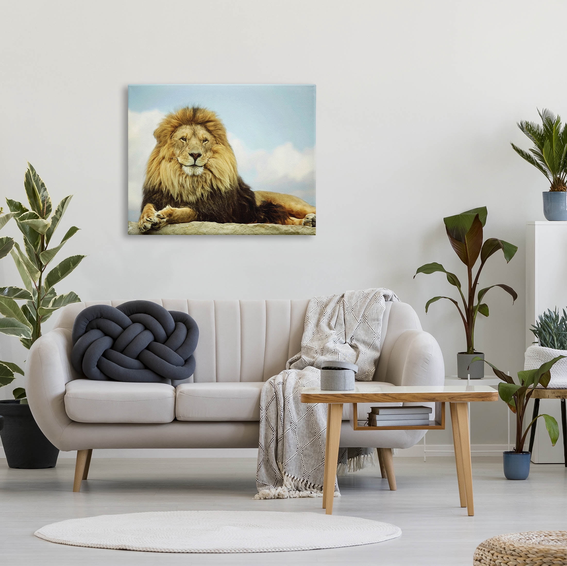 Stupell Industries Savanna Lion Photography Portrait Photograph Gallery Wrapped Canvas Print Wall Art, Design by Carrie Ann Grippo-Pike