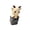C, variant on D Cute Press Button Voice Activated Toy Monkey Donkey Cow Fidget Stress Relief Desk Ornaments