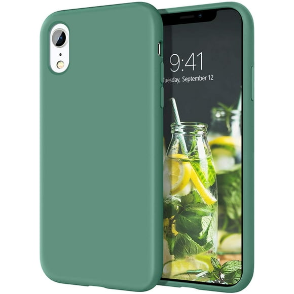 iPhone XR Cases, iPhone XR Case FYBTO Slim Lightweight Smooth Liquid Silicone Soft Gel Rubber Microfiber Lining Cushion Texture Cover Shockproof Protective Phone Cases for iPhone 10 XR, Light Blue