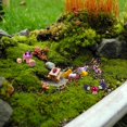 thumbnail image 2 of Accesorios de jardín de hadas en miniatura Dracarys Selected, 100 unidades, 2 of 7