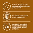 thumbnail image 5 of Nature's Recipe Mature Lamb & Brown Rice Dry Dog Food for Senior Dogs, 24 lb Bag, 5 of 11