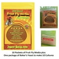 Fruit Fly Culture Kit (Hydei Or Melanogaster) Will Make 10 Awesome