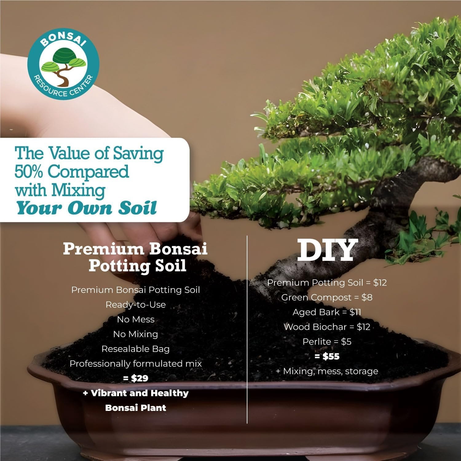 Bonsai Soil Mix, Ready to Use - Bonsai Potting Soil - Great Drainage, Soil - Soil Can Also Be Used for Succulent, Cactus, Money Tree - Akadama Soil - Pumice for Plants