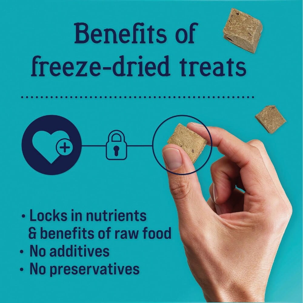 Stewart 14 Oz. Freeze-Dried Beef Liver Dog Treats 400627