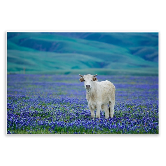 Stupell Industries Farmhouse White Cattle Lavender Field Wall Plaque Art, 15 x 10, by Dennis Frates