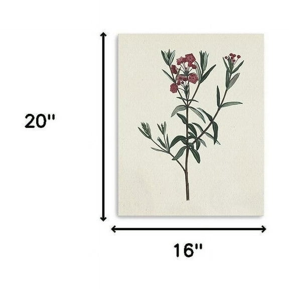 20 in. Singular Red Blossom Branch Canvas Wall Art, Natural