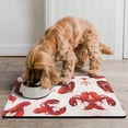 thumbnail image 2 of Coastal Nautical Seafood Dog Food Mat – Lobster Crustacean Marine Ocean Pet Feeding Mat 16x24, Cute Funny Tropical Beach Non-Slip Absorbent Quick Dry Waterproof Easy Clean, 2 of 7