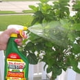 thumbnail image 6 of Dr. Earth Final Stop Ready to Use Disease Control Fungicide, 24 oz. 1 Bottle, 6 of 8