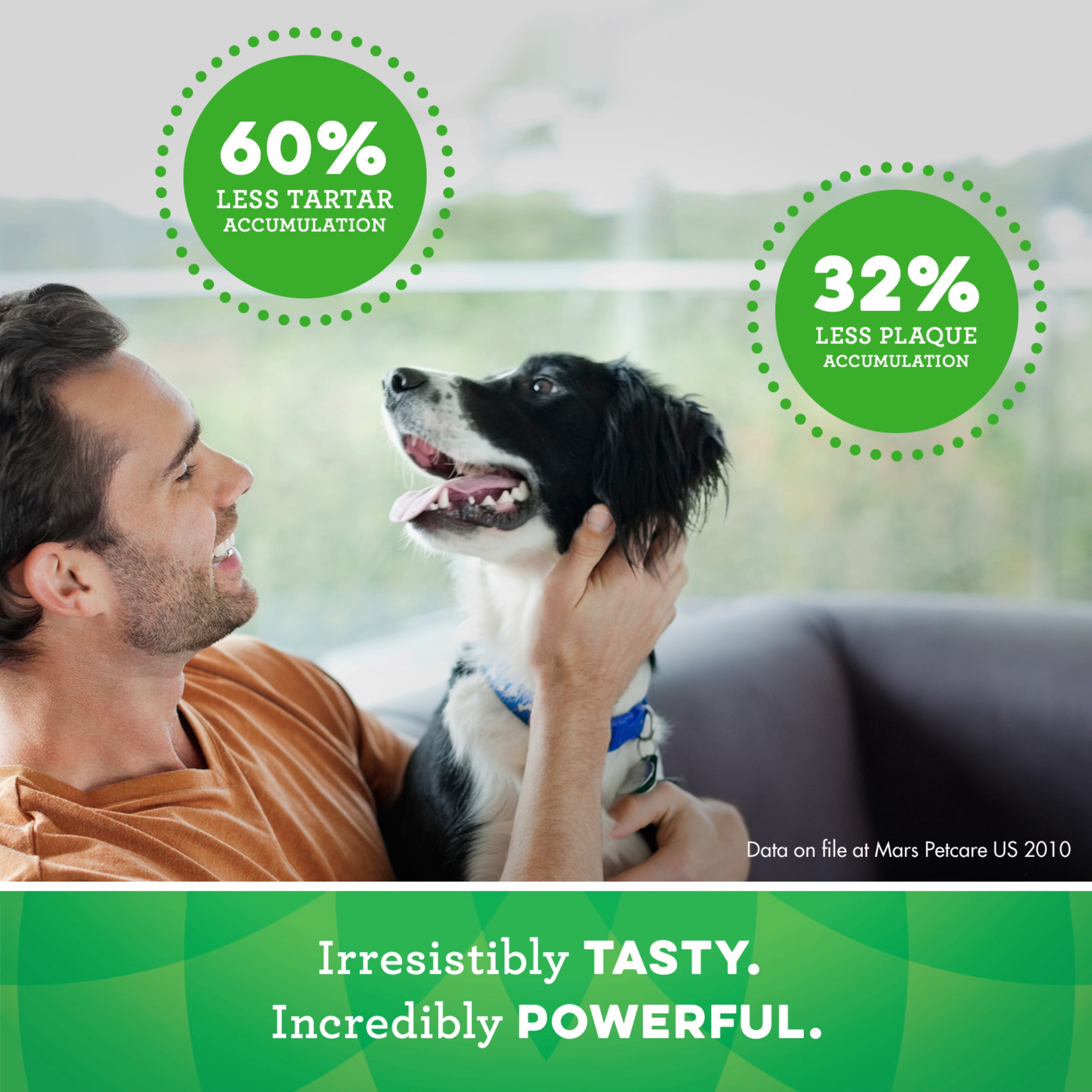 greenies hip and joint