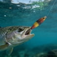 thumbnail image 1 of Klonfd Soft Squid Hook Enhances Your, 1 of 4
