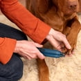 thumbnail image 6 of Zorpupoa 2-Speed Quiet USB Rechargeable Pet Nail Grinder Cordless Dog Nail Trimmer Gentle Claw Care for At-Home Grooming Daily Paw Care, 6 of 13